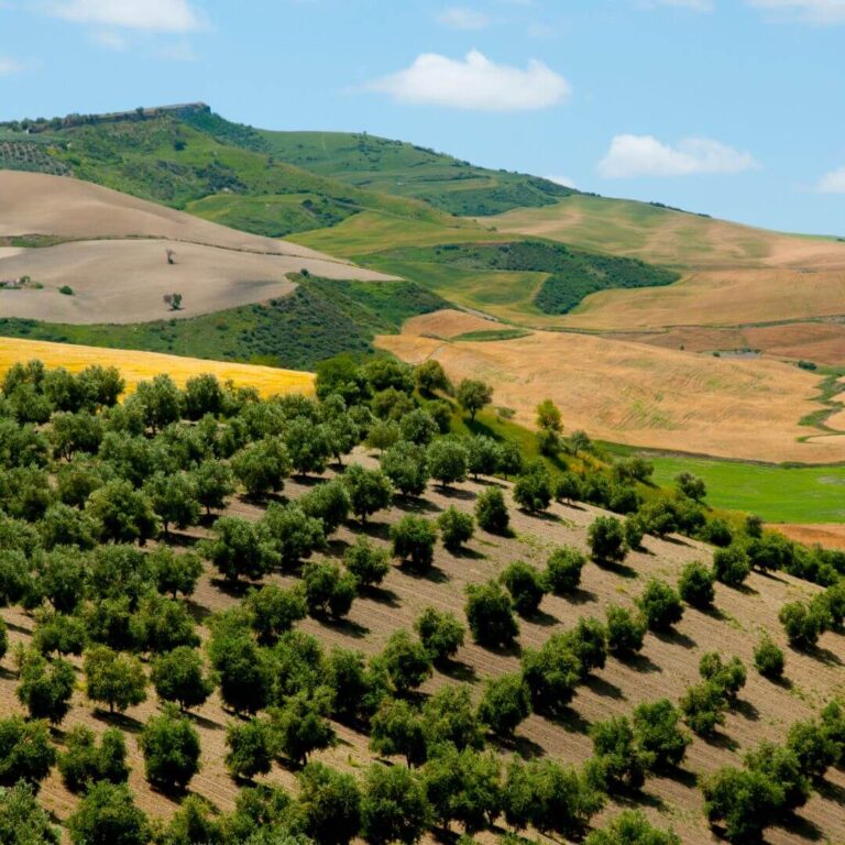 Il fascino del Sannio: un territorio da vivere, celebrare e raccontare