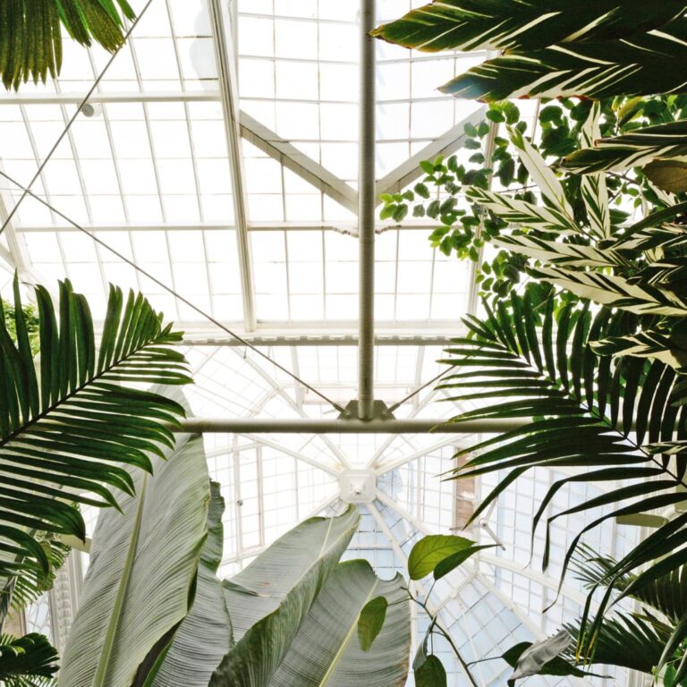 L’Altra Luna: perché sceglierla per vivere momenti unici